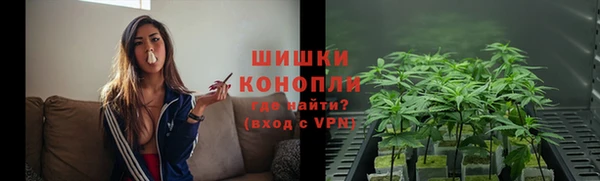 PSILOCYBIN Армянск