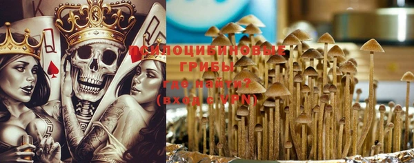 PSILOCYBIN Армянск