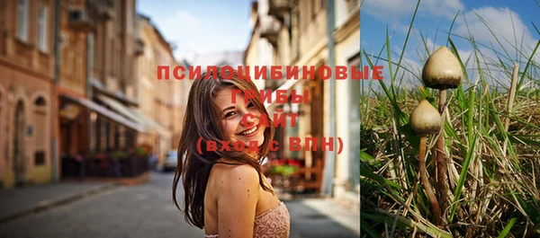 PSILOCYBIN Армянск