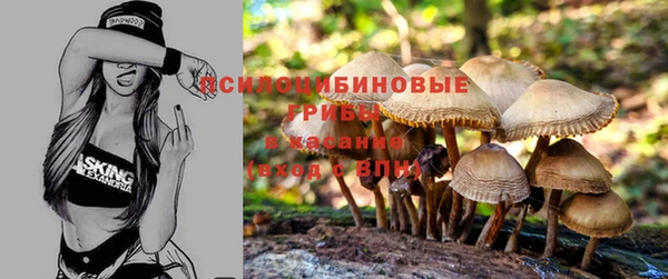 эйфоретик Арсеньев