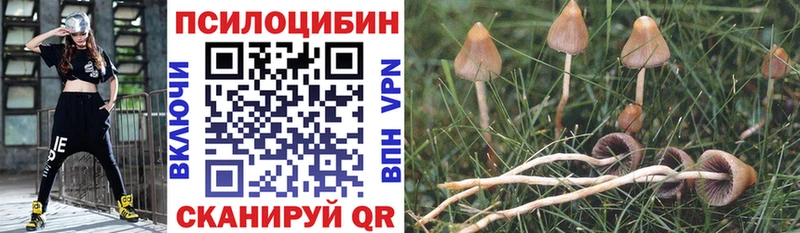 Галлюциногенные грибы мухоморы  Поронайск 