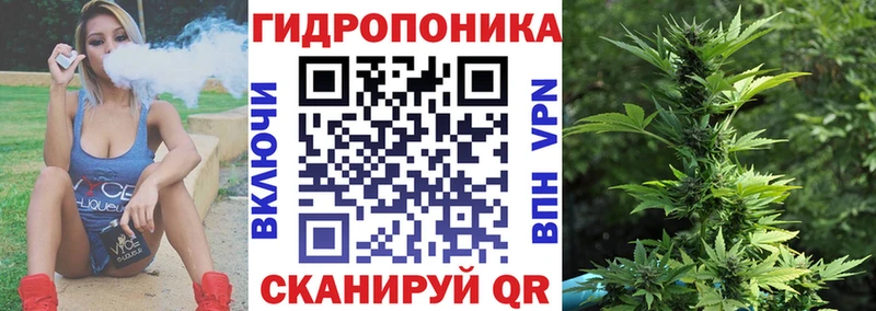 маркетплейс состав  кракен tor  Шишки марихуана планчик  Поронайск  сколько стоит 